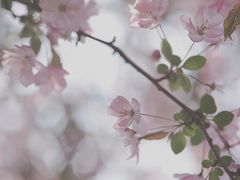 -贵阳市花溪国家城市湿地公园