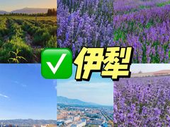 -新疆那拉提国家旅游度假区