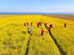 -青海湖国家重点风景名胜区
