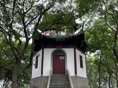 -上海佘山国家森林公园天马山园