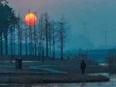 -春花秋色城市公园