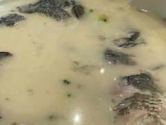 鲫鱼蛤蜊汤-老正兴菜馆(福州路店)