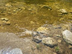 -青峰峡国家森林公园