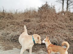 -汉长安城未央宫国家考古遗址公园