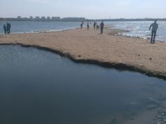 -丁香湖公园