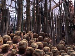 -南山植物园