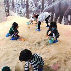 -恐龙探索乐园(磁器口店)