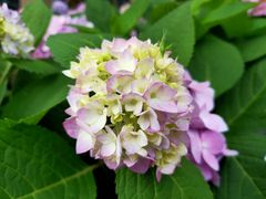 -新天地活力PARK