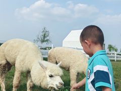 -伊顿幼儿园(天津上河雅颂校区)