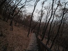 -帽儿山国家森林公园