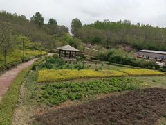 -辽宁团山国家级海洋公园