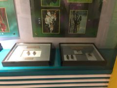 -上海昆虫博物馆