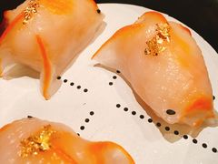 蓝天使虾金鱼饺-8餐厅(新葡京酒店)