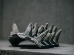 -南越王博物院(王宫展区)
