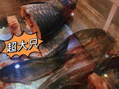 -老刘生态大鱼坊铁锅炖鱼(赛马场店)