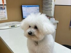 -瑞派康怡24h宠物医院·犬猫医疗中心·微创绝育(瑞景分院)