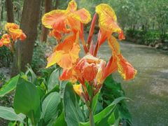 -合肥滨湖国家森林公园