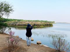 -丁香湖公园