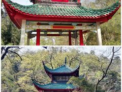 -岳麓山风景名胜区