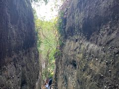 -越王山风景区