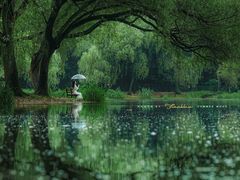 -上海共青森林公园