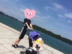-酒仙湖景区