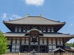 -奈良公园
