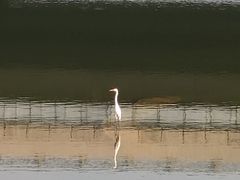 -卢沟桥文化旅游区