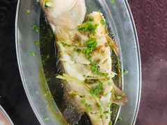 -板桥海鲜广场11排2号