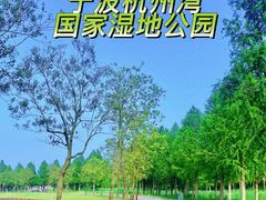 -宁波杭州湾国家湿地公园