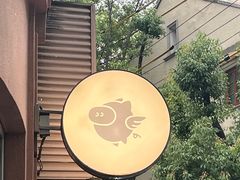 -WHEN PIGS FLY当猪飞