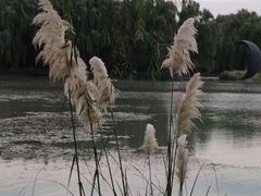 -昆山城市生态森林公园