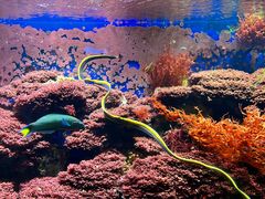 -海合安成都极地海洋公园
