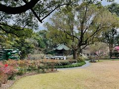 -申粤轩酒楼·三十年粤菜经典(丁香花园店)
