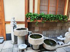 -孙大厨鸽子馆(三元店)