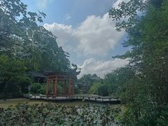 -广州神农草堂中医药博物馆