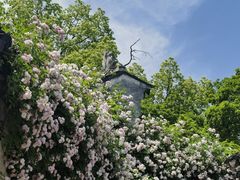 -惠山古镇·寄畅园