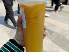 -一叶觅山(半边街店)