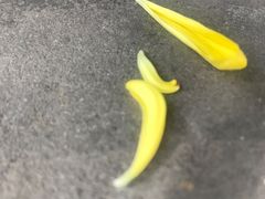 -水磨沟公园