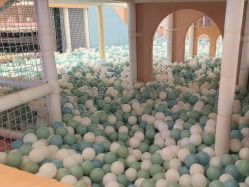 点击看大图 -超级奈尔宝SUPER NEOBIO(杭州星光店)