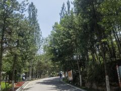 -青藏高原野生动物园