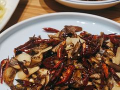 -滇铺子·云南特色菜·第九届野生菌美食节(东风东路c86店)