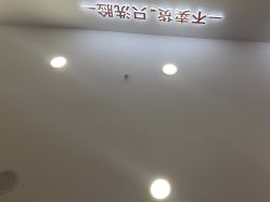 -洗脸熊·洗脸吧