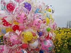 -三圣花乡旅游区