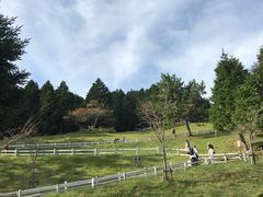 -神户市立六甲山牧场