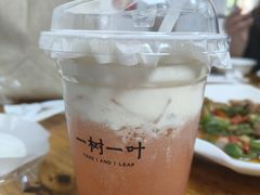 -一树一叶·福建茶档(石鼓路店)
