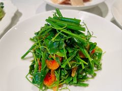 -西郊5号·Maggie 5