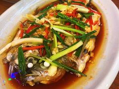 -印象江南(东栅店)