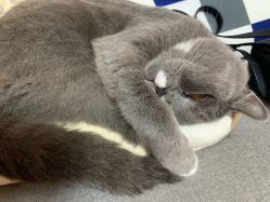 -Pink You美甲美睫纹绣定制中心