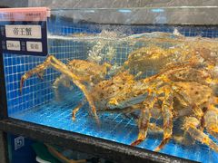 -海月轩海鲜豆捞(紫金塔店)